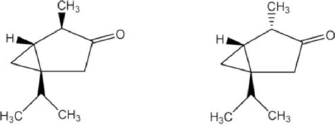 5 Chemical structure of α-thujone and β-thujone found in A. absinthium ...