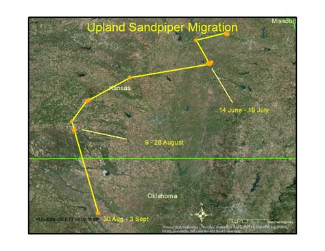 Live Updates: Tracking Upland Sandpiper Trans-hemispheric Migration | Vermont Center for Ecostudies