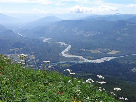 The Best Things To Do in Skagit County, Washington, Tulip Festival