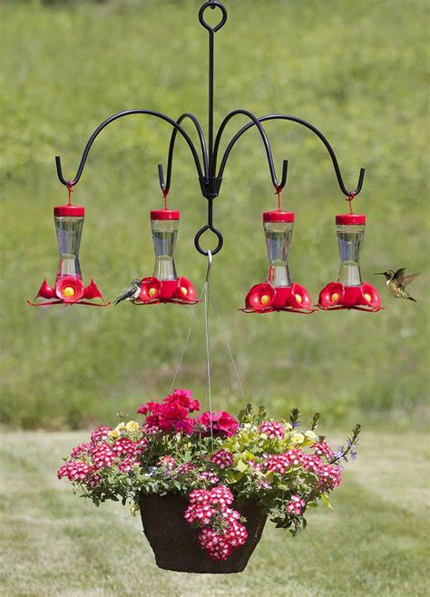 Types of Bird Feeder Hangers | Birdcage Design Ideas