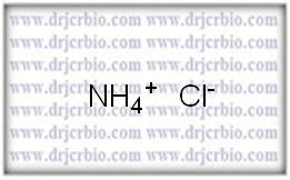 Ammonium chloride - DR JCR BIO DR JCR BIO