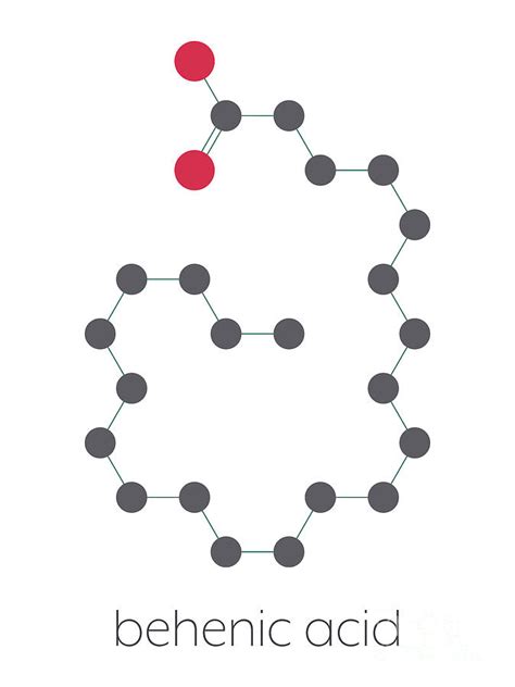 Behenic Acid Saturated Fatty Acid Molecule Photograph by Molekuul/science Photo Library - Fine ...