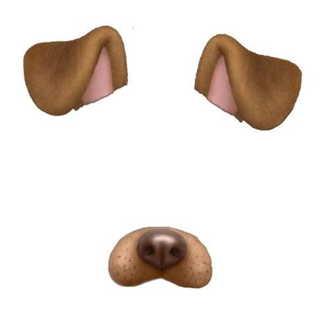 Please Stop Hating The Dog Filter | Snapchat dog filter, Snapchat filters png, Dog filter