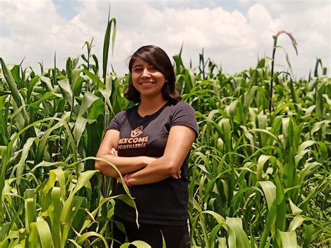 Una mexicana al rescate del maíz criollo y sus nutrientes | AGRONOTICIAS