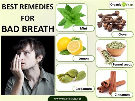 12 Wonderful Home Remedies for Bad Breath (Halitosis) | Organic Facts