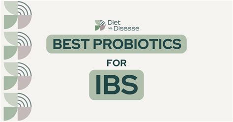 Best Probiotics For Irritable Bowel Syndrome (IBS) Explained | Diet vs ...