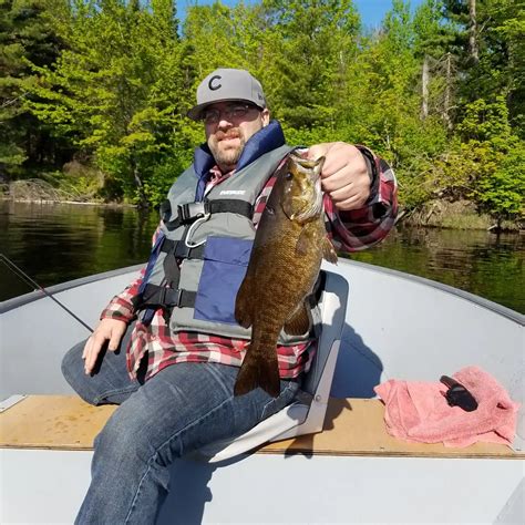 ᐅ Michigamme Reservoir fishing reports🎣• Iron Mountain, MI (United States) fishing