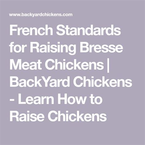 French Standards for Raising Bresse Meat Chickens | BackYard Chickens ...