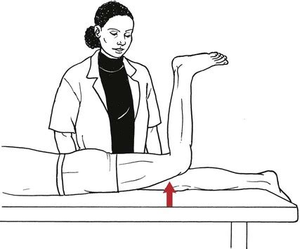 Testing the Muscles of the Lower Extremity | Musculoskeletal Key