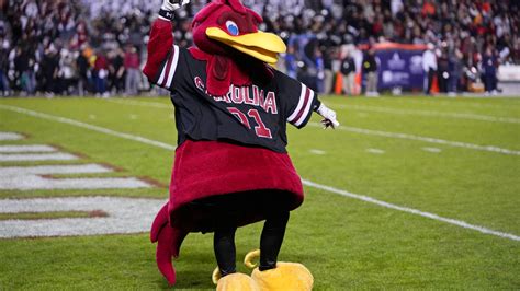 Epic Mascot Reveal At South Carolina Graduation Goes Viral