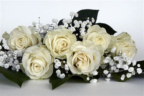 Free Images : nature, white, petal, love, romance, wedding day, gypsophila, luck, bouquet of ...