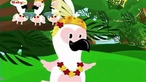 BabyTV Cockatoo (english) - Dailymotion Video