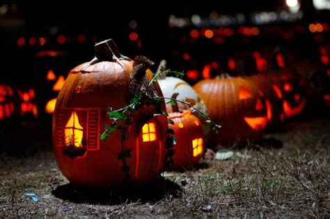 Kingsville to host Pumpkin Parade after Halloween | CTV News