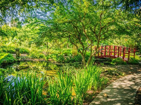 Japanese Garden | Miami Beach Botanical Garden