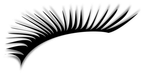 Clipart - Eyelash 1