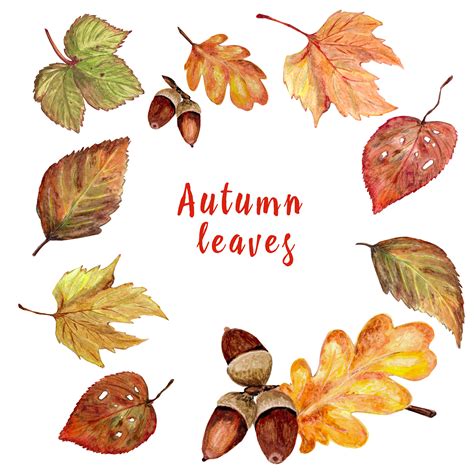 Autumn leaves, watercolor By Svetlana | TheHungryJPEG