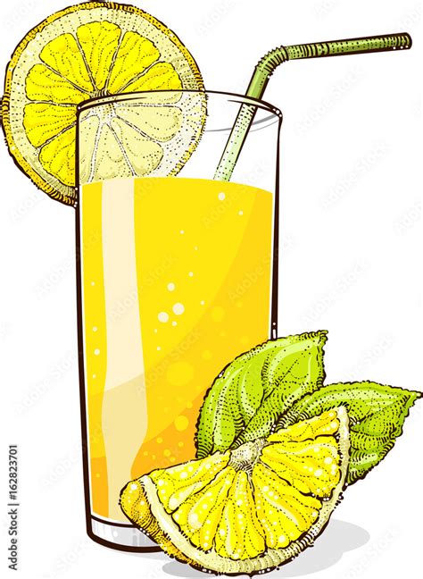 A glass of lemonade with pieces of lemon. Vector drawing. Stock Vector | Adobe Stock