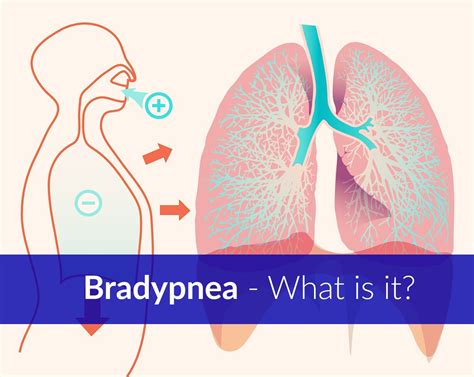 Bradypnea - What is it, Definition, Symptoms, Causes, Treatment