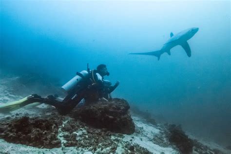 PADI Dive Courses ﻿| Malapascua, Philippines | Get your PADI!