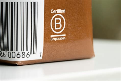 What is a B Corp? | Why B Corps Matter | Work.Life