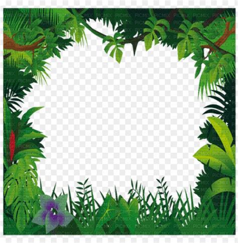 Jungle Frame Jungle Frame - Jungle Frame Clipart PNG Transparent With Clear Background ID 226117 ...