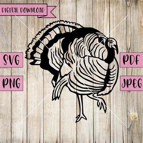 Thanksgiving Turkey Svg, Turkey Svg, Holiday Svg, Animated Vector ...