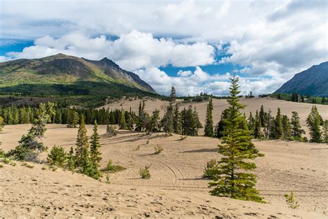 Carcross Desert Foto & Bild | north america, canada, landschaft Bilder auf fotocommunity