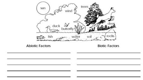 ecology biotic and abiotic factors worksheet - Google Search | Abiotic, Social studies ...