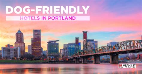 Dog-Friendly Hotels in Portland | Sit Means Sit Dog Training - Portland