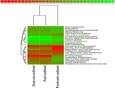 Frontiers | Taxonomic and Functional Metagenomic Profile of Sediment From a Commercial Catfish ...