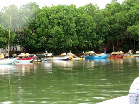 Negombo Lagoon – a waterway of serene beauty | The Vacation Gateway