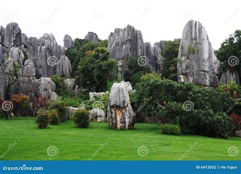 Stone forest stock photo. Image of forest, landscape, scape - 6413032