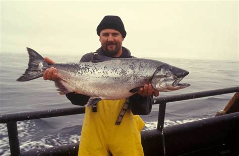 Salmon Fishing Tips & Tricks - The 2 Factors For Success