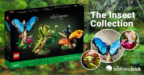 LEGO reveals The Insect Collection as the next LEGO Ideas set [News] - The Brothers Brick | The ...