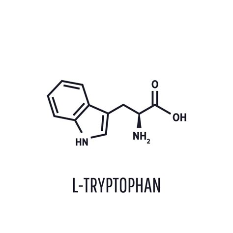 Tryptophan benefits