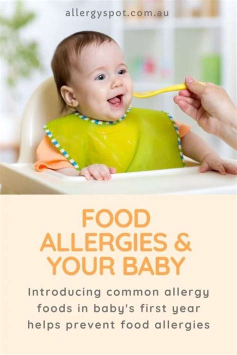 Feed your baby new foods to prevent food allergies » Allergy Spot