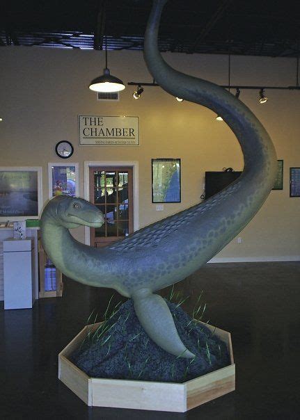 Stalking Altie: Does Georgia have its own Loch Ness Monster? | Lake monsters, Cryptozoology ...