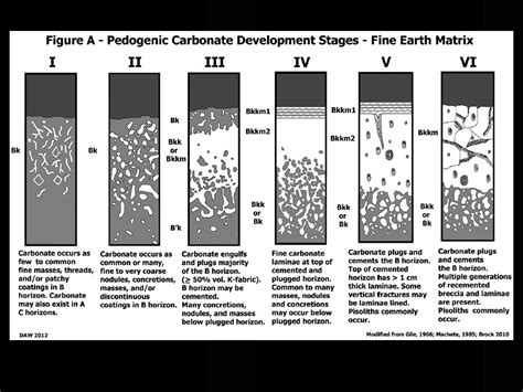 Aridisols | Soil & Water Systems | University of Idaho