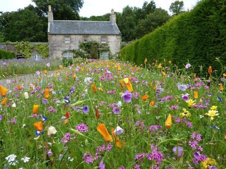 Jardín de flores silvestres 5 | Wild flower meadow, Wildflower garden, Beautiful gardens