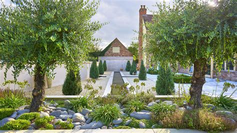 Landscaping with olive trees: 10 expert ideas | Gardeningetc