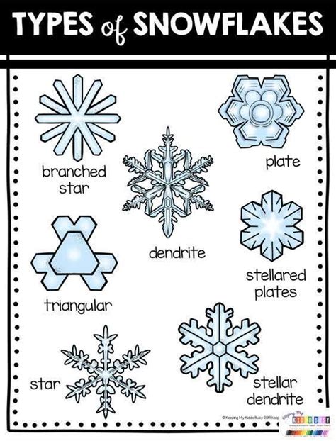 Explore the Fascinating World of Snowflakes