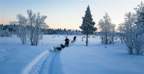 Kiruna: i MIGLIORI tour - Cose da fare nel 2023 | Cancellazione GRATUITA | GetYourGuide