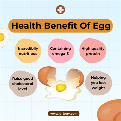 Benefits Of Egg - Drlogy - Medium