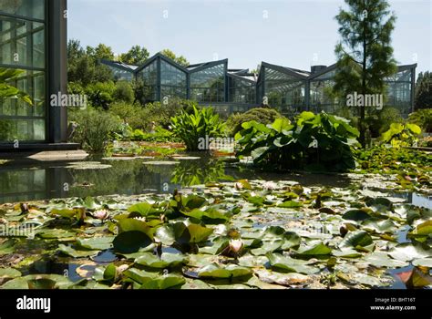 Palmengarten, botanical garden in Frankfurt, Tropicarium and skyline of Frankfurt, Germany Stock ...