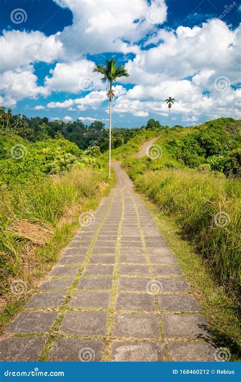 Campuhan Ridge Walk in Bali Stock Photo - Image of adventure, landscape: 168460212