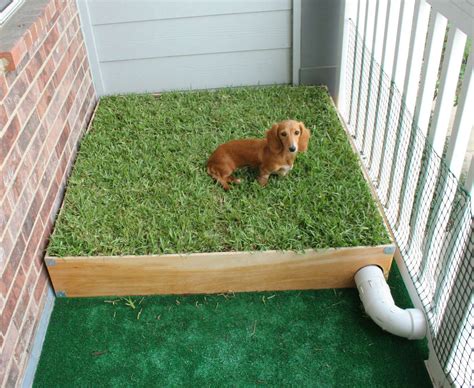 Dog Porch Potty with Real Grass and Drainage System | Dog potty area, Dog toilet, Diy dog stuff