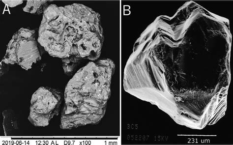 A -Sample C4m, the thin dark sedimentary layer between the diamictite... | Download Scientific ...