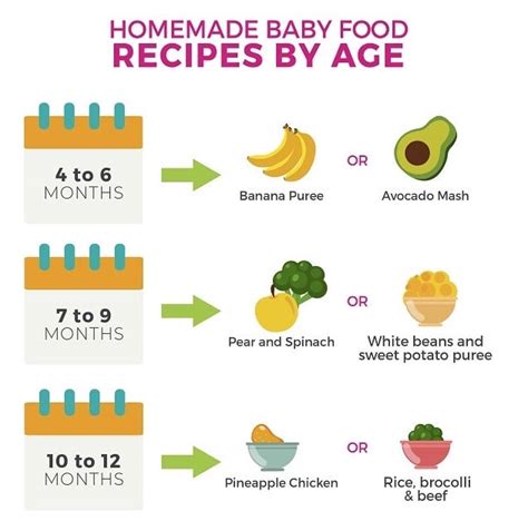 Homemade Baby Food Recipes for 4-12 months – Actif USA