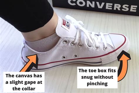 Do Converse Run True to Size? - Shoe Effect