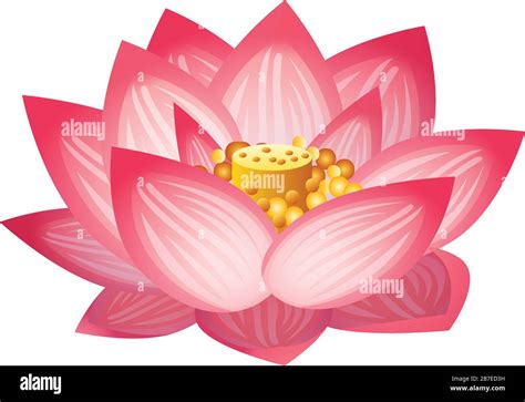 Lotus flower icon. Cartoon of lotus flower vector icon for web design ...